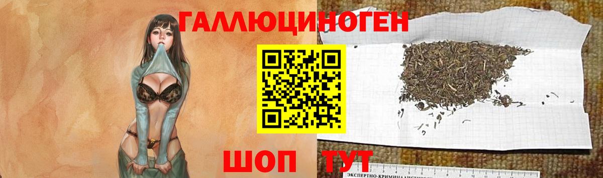 Псилоцибиновые грибы мицелий Менделеевск